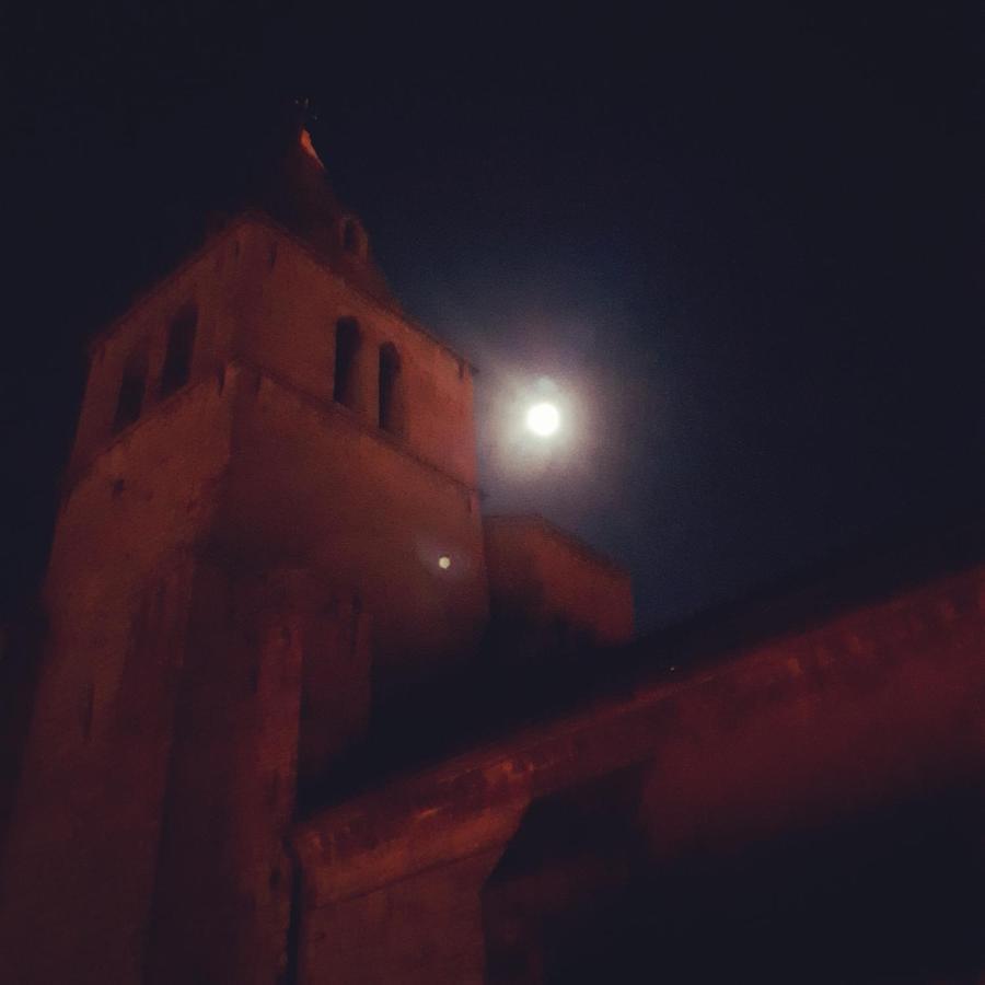 Les Mirabelles Chambres D'Hotes Sisteron Eksteriør bilde