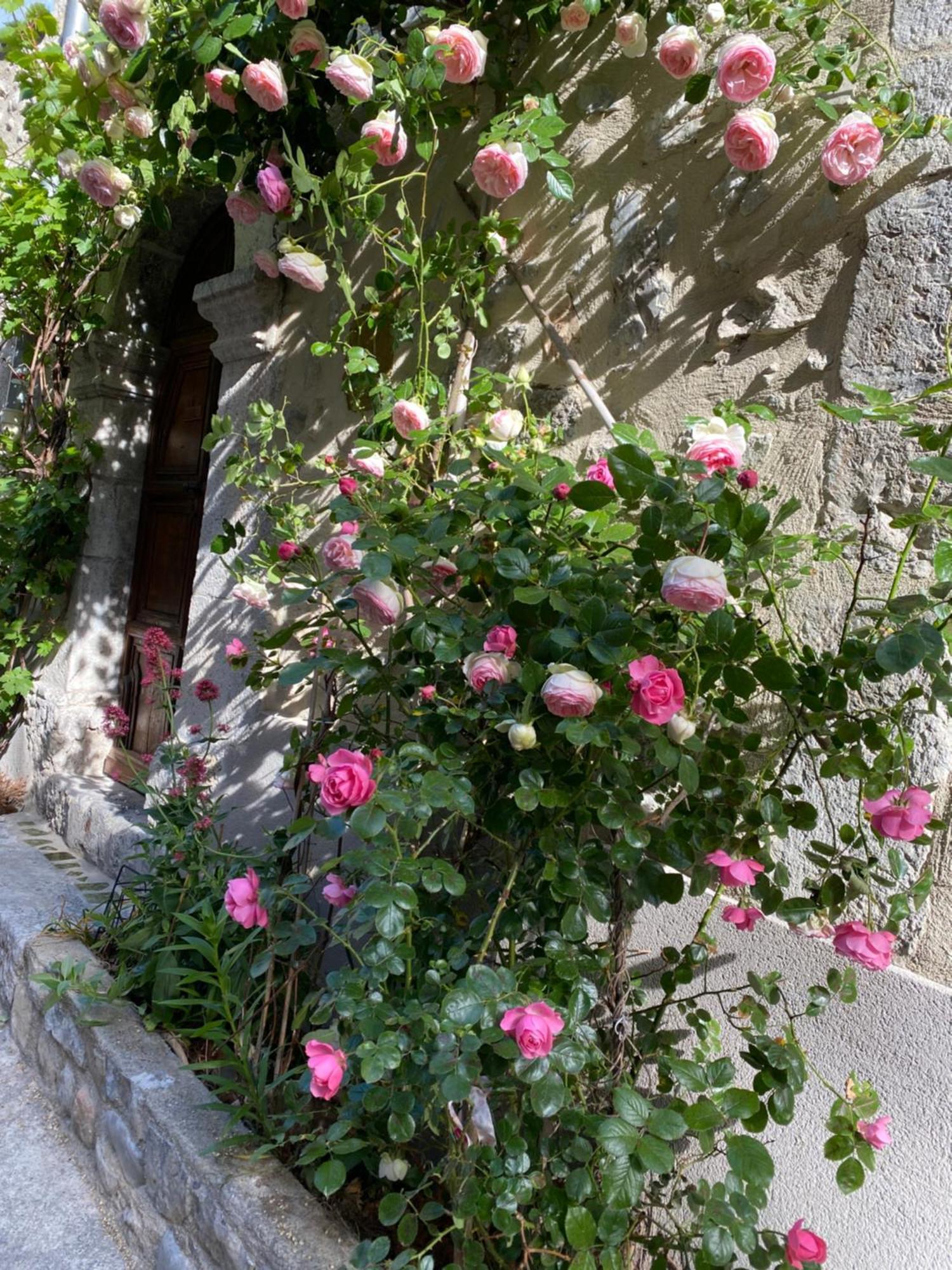 Les Mirabelles Chambres D'Hotes Sisteron Eksteriør bilde